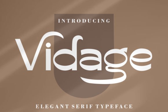 Vidage: Merging Bold Display with Elegant Serifs